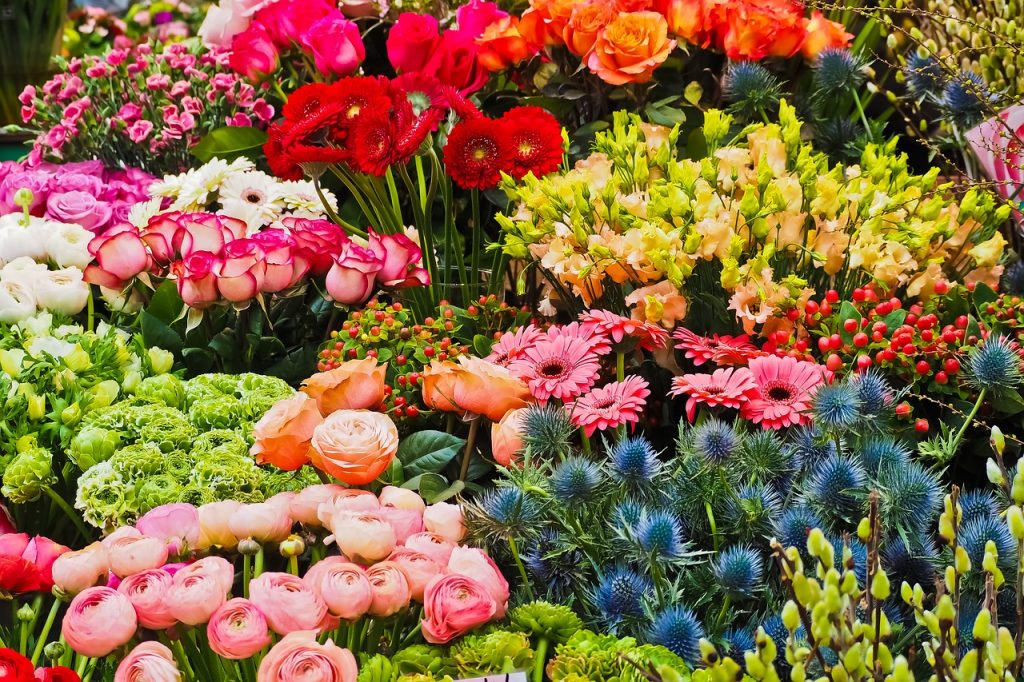 Modena in fiore 2026